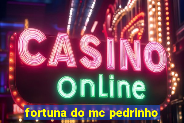 fortuna do mc pedrinho